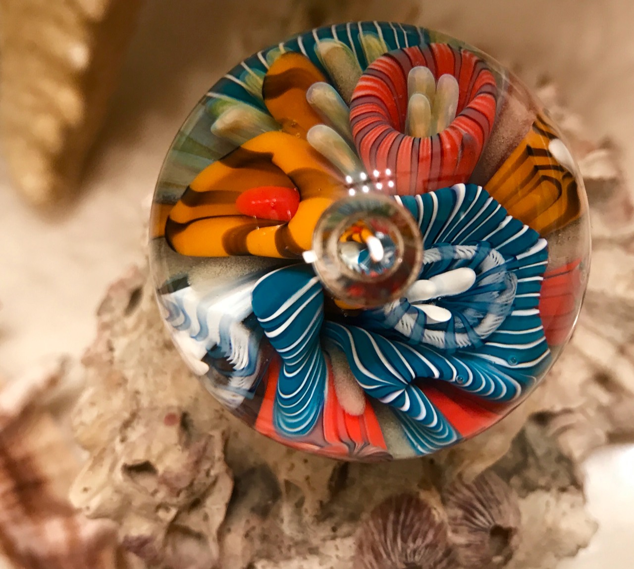 Coral Reef marble on shells, with teal and white striped coral, red and golden forms, and a clear central orb