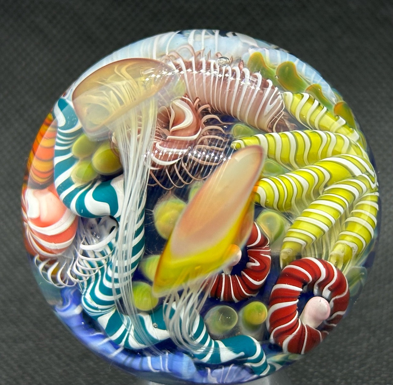 Big Coral Reef with Jellyfish Swarm: Front view of flowing jellyfish tentacles and curled coral forms
