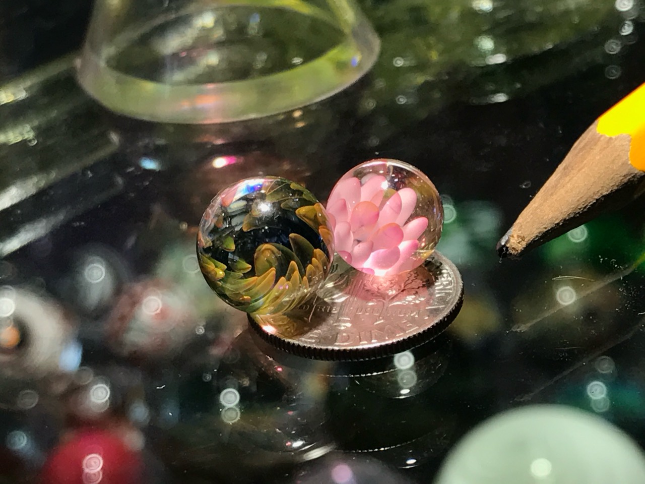 Gold Fume Bloom & Green Algae Bloom Pee-wee Marbles: Close paired view of the curling green algae bloom and upright pink gold-fume petals on a dime