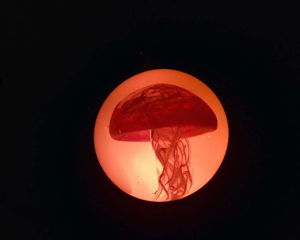 Jellyfish Pocket Marble: Warm orange-lit view of the jellyfish form, showing its broad bell and fine trailing tentacles